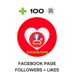 100 Facebook Page Followers + Likes